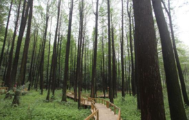 河南旅游景點大全 河南旅游景點大全排名 河南旅游景點大全 河南旅游景點大全排名