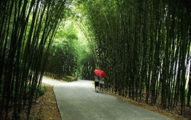 河南旅游景點大全 河南旅游景點大全排名 河南旅游景點大全 河南旅游景點大全排名