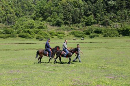 黄金洞石家坝向家村草原自助旅游攻略
