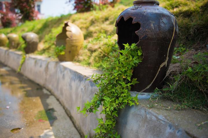 蓬莱仙岛旅游攻略 蓬莱仙岛自助游旅游攻略