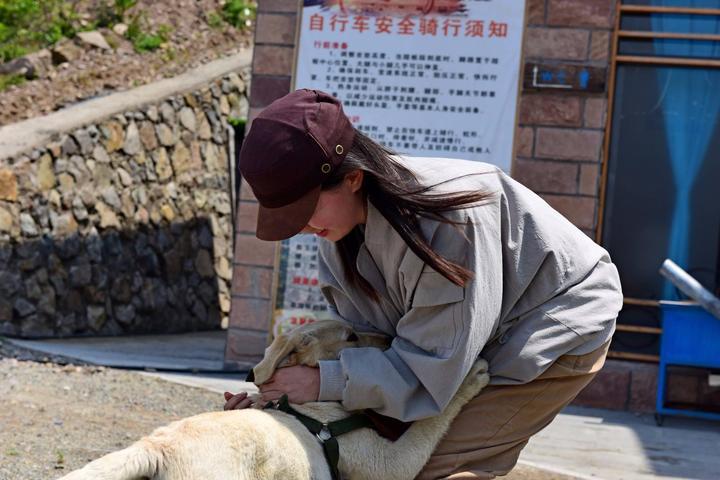 蓬莱仙岛旅游攻略 蓬莱仙岛自助游旅游攻略