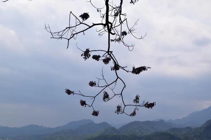  都江堰風景區在哪兒