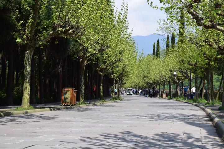  都江堰風景區在哪兒