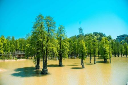 杭州青山湖好玩吗？