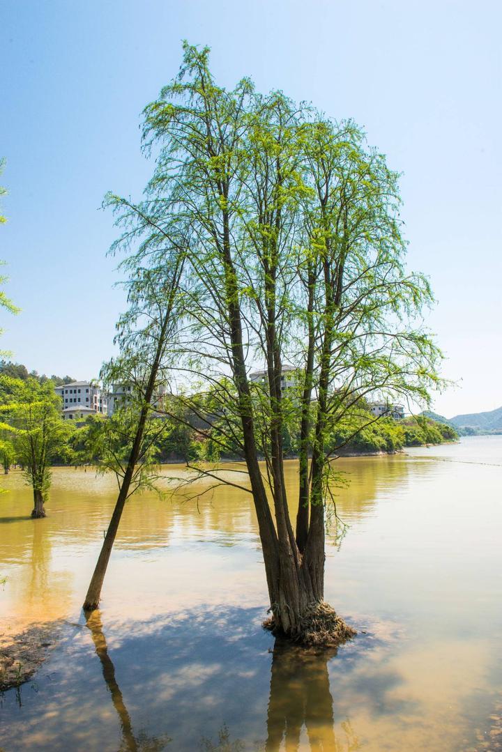 杭州青山湖好玩吗？