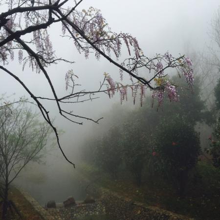 太姥山在哪儿  太姥山有什么好玩的