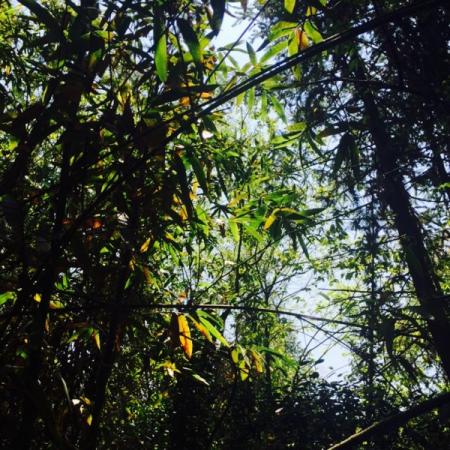 永定土楼好玩吗  永定土楼在哪儿