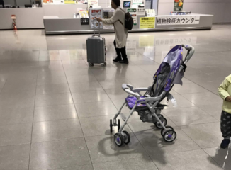 日本和中国旅游体验有什么区别