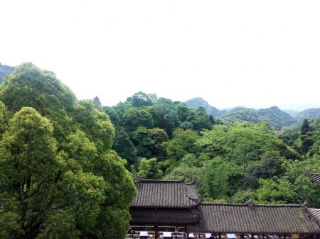 青城山好玩吗 青城山自驾一日游攻略