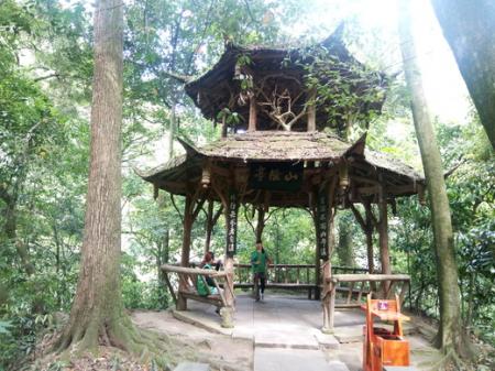 青城山好玩吗 青城山自驾一日游攻略