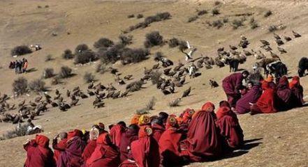 藏族文化的特点有哪些