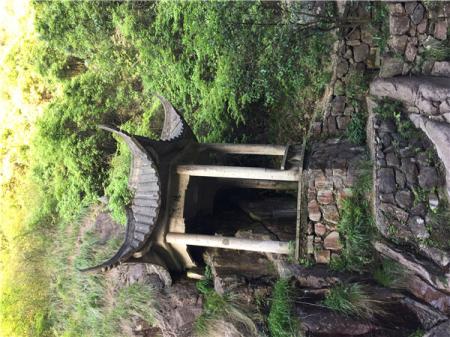 桐庐大奇山好玩吗 桐庐大奇山门票多少钱