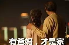 文科生去新加坡留学选择什么专业好