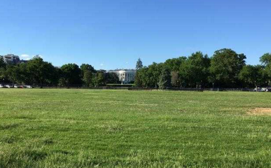为什么美国的首都是华盛顿  华盛顿有哪些值得游玩的景点