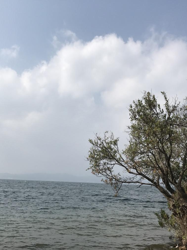 杞麓湖国家湿地公园自助旅游攻略