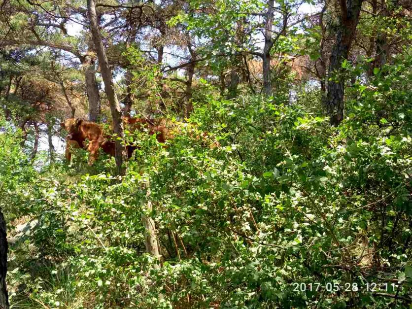 石人山旅游攻略 石人山风景区旅游攻略