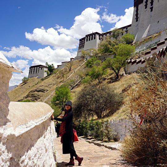 布达拉宫和大昭寺区别 布达拉宫和大昭寺多远