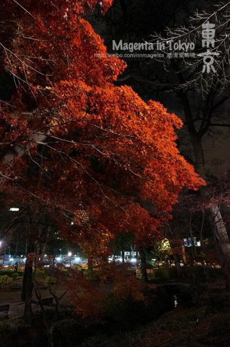 去日本旅游要带什么 日本有什么值得买的