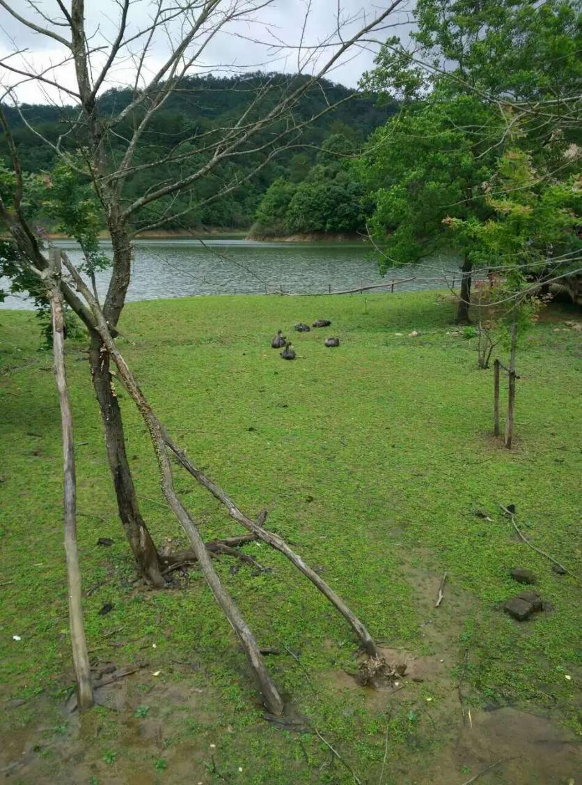 千島湖有哪些景點 好玩嗎