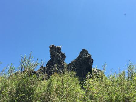 神农架有什么好玩的地方 神农架有野人吗