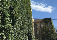 北京大学为什么被称为是燕园 北京大学有哪些景点 北京大学必去景点有哪些