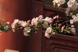 北京大学为什么被称为是燕园 北京大学有哪些景点 北京大学必去景点有哪些
