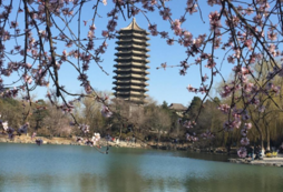 北京大学为什么被称为是燕园 北京大学有哪些景点 北京大学必去景点有哪些