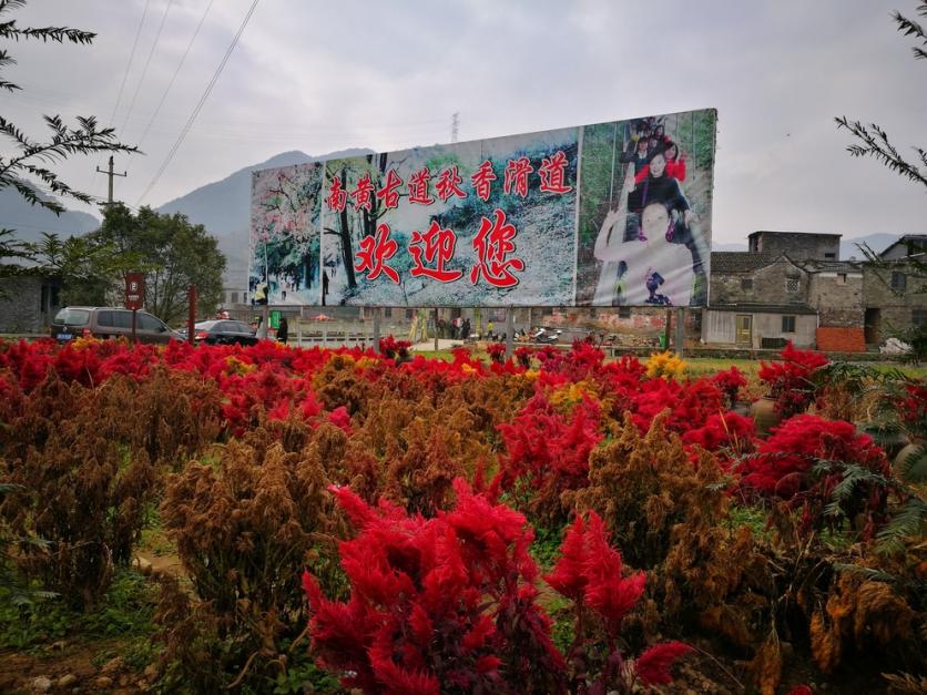 黃南古道在哪里 黃南古道離海邊近嗎