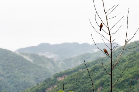 武当山自驾游旅游攻略 武当山自由行旅游游记