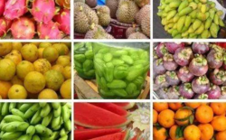 海南島有哪些水果 海南島主要生產什么水果 三亞特產水果有哪些