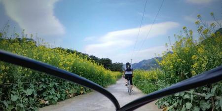 徽州有哪些好玩的 徽州有哪些旅游景点