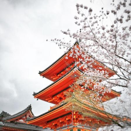 日本拍照最佳景点 日本有什么好吃的