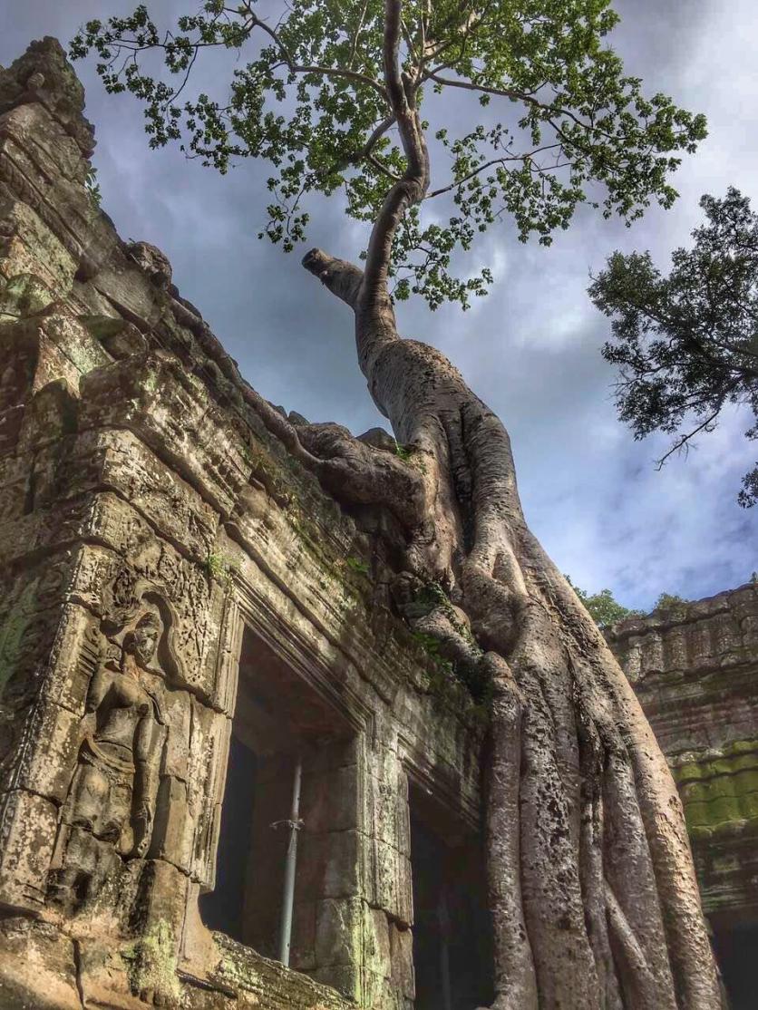 如何玩吳哥窟 要去柬埔寨吳哥窟旅游了買些什么好  去柬埔寨旅游的注意事項