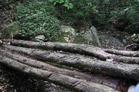 武功山最安全的路线 武功山最佳旅游时间