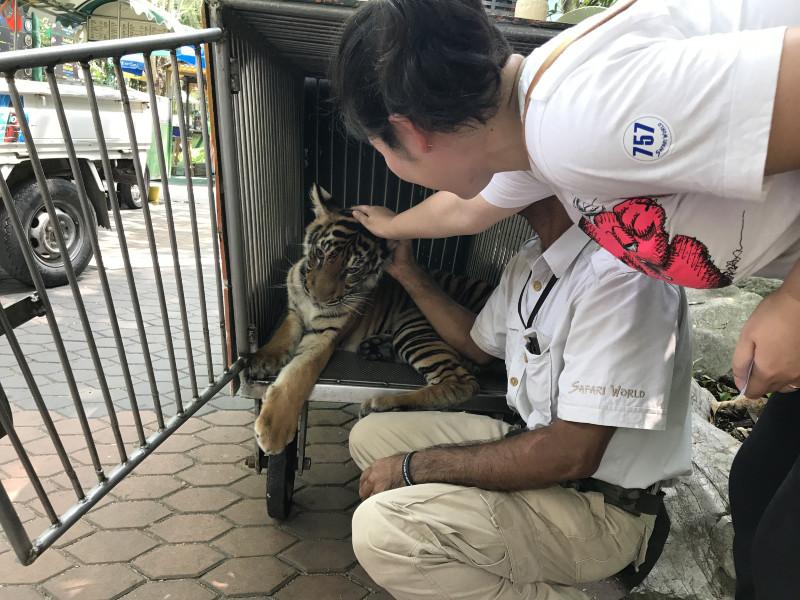 泰国有哪些景点 去泰国要多少钱