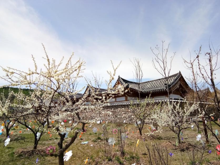 延邊一日游去哪玩比較好