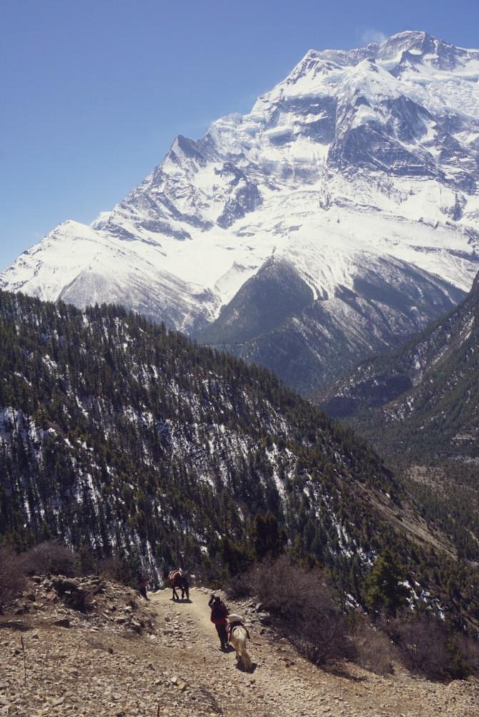 尼泊爾需要簽證嗎 尼泊爾有哪些旅游景點