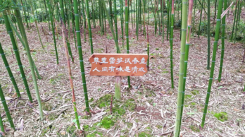 蒲江明月村好玩吗 蒲江明月村旅游攻略