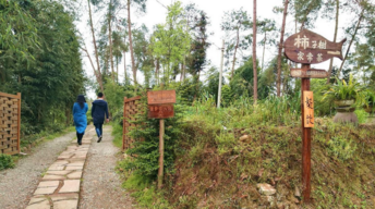 蒲江明月村好玩吗 蒲江明月村旅游攻略