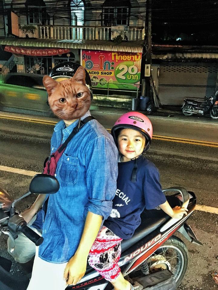 普吉岛的禁忌 普吉岛是哪个国家的 去普吉岛旅游需要准备哪些东西