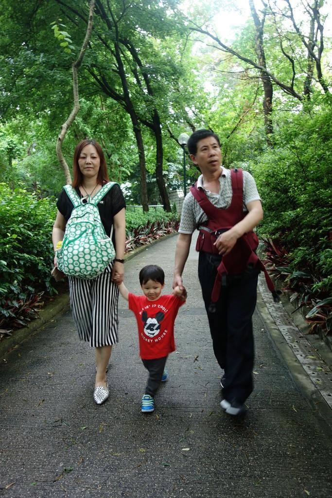 香港有什么好玩的地方 香港五日亲子游