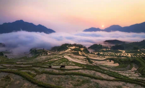 南山湖在哪兒  南山湖有什么好玩的