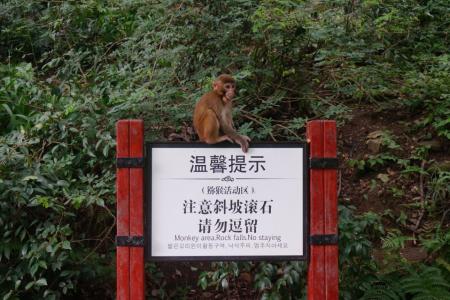 贵阳黔灵山公园好玩吗 贵阳黔灵山猴子打人吗