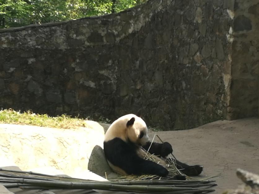 九寨溝黃龍旅游注意事項 九寨溝黃龍旅游指南