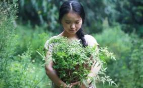 90后美女为何隐居深山 6万元真的可以建300平米的别墅吗 向往的生活
