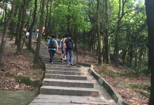 深圳宝安区羊台山森林公园有几个入口 羊台山有什么好玩的