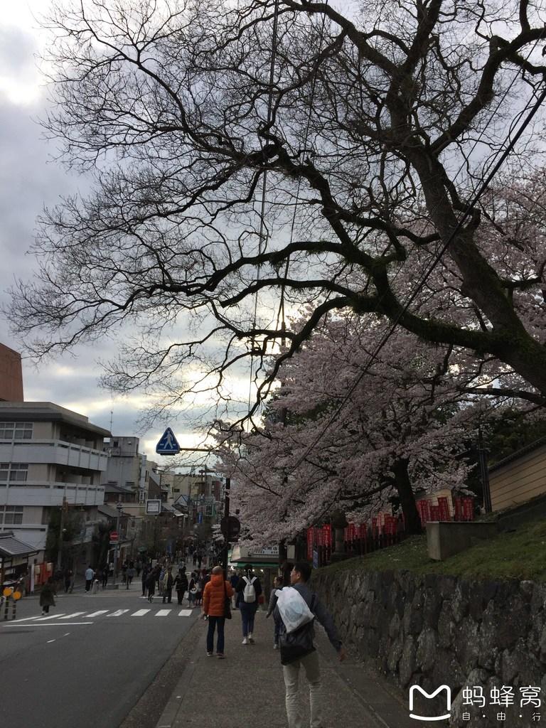 怎么從大阪到奈良 奈良大阪的櫻花開了嗎