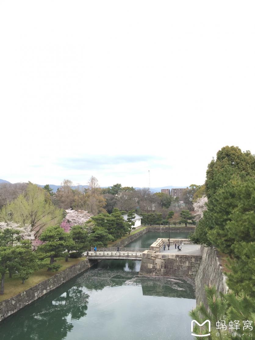 怎么從大阪到奈良 奈良大阪的櫻花開了嗎