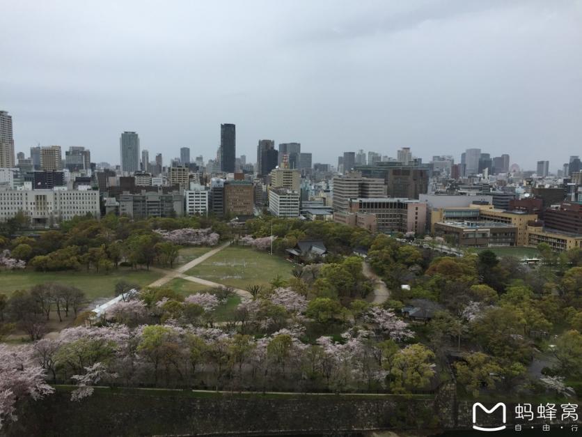 怎么從大阪到奈良 奈良大阪的櫻花開了嗎