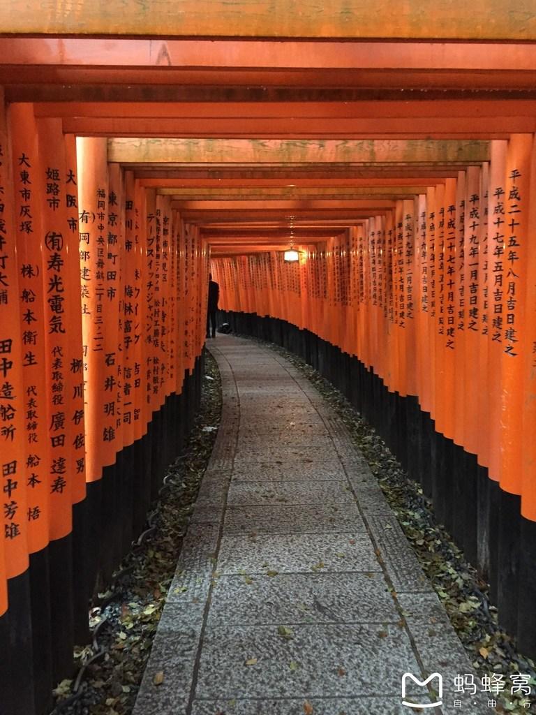 怎么從大阪到奈良 奈良大阪的櫻花開了嗎